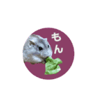 もんちゃんスタスタ（個別スタンプ：4）