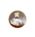 もんちゃんスタスタ（個別スタンプ：8）