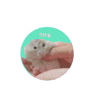 もんちゃんスタスタ（個別スタンプ：9）