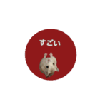 もんちゃんスタスタ（個別スタンプ：16）