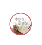 もんちゃんスタスタ（個別スタンプ：17）
