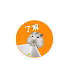 もんちゃんスタスタ（個別スタンプ：23）