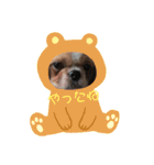 よく寝る犬（個別スタンプ：2）