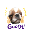 よく寝る犬（個別スタンプ：7）