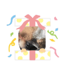 よく寝る犬（個別スタンプ：9）