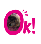 チャッピー好き（個別スタンプ：3）
