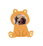 チャッピー好き（個別スタンプ：8）