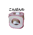 日々の猫々2 (働く猫々編)（個別スタンプ：4）