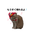日々の猫々2 (働く猫々編)（個別スタンプ：7）