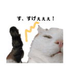 日々の猫々2 (働く猫々編)（個別スタンプ：12）