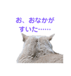 日々の猫々2 (働く猫々編)（個別スタンプ：19）
