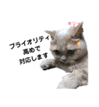 日々の猫々2 (働く猫々編)（個別スタンプ：32）