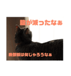 ととここあスタンプ 備後弁編（個別スタンプ：5）