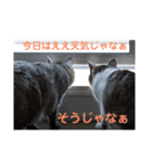 ととここあスタンプ 備後弁編（個別スタンプ：7）