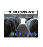 ととここあスタンプ 備後弁編（個別スタンプ：9）