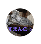 ととここあスタンプ 備後弁編（個別スタンプ：20）