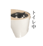 meme's stamp ver.2（個別スタンプ：9）