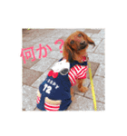 幸せなhappy（個別スタンプ：2）