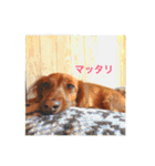 幸せなhappy（個別スタンプ：3）