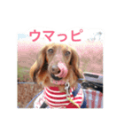 幸せなhappy（個別スタンプ：8）