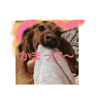 幸せなhappy（個別スタンプ：11）