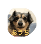 おまーち（個別スタンプ：1）