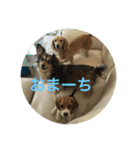 おまーち（個別スタンプ：2）