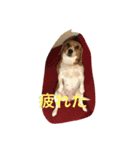 おまーち（個別スタンプ：4）