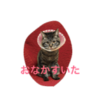 おまーち（個別スタンプ：5）