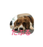 おまーち（個別スタンプ：7）