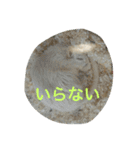 おまーち（個別スタンプ：8）