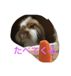 おまーち（個別スタンプ：10）
