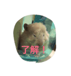 おまーち（個別スタンプ：13）