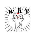 マルチーズ！ティアラ 1（個別スタンプ：1）