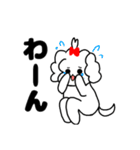 マルチーズ！ティアラ 1（個別スタンプ：13）