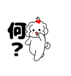 マルチーズ！ティアラ 1（個別スタンプ：40）
