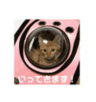 猫のしずくスタンプ。（個別スタンプ：7）