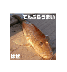 ほっかいどうでつれるおさかな（個別スタンプ：5）