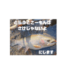 ほっかいどうでつれるおさかな（個別スタンプ：7）