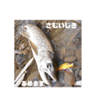 ほっかいどうでつれるおさかな（個別スタンプ：10）
