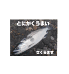 ほっかいどうでつれるおさかな（個別スタンプ：12）