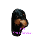 私のスタンプだよ（個別スタンプ：8）