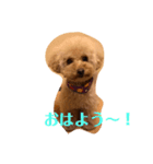 ぼく、福丸です。（個別スタンプ：2）