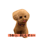 ぼく、福丸です。（個別スタンプ：4）