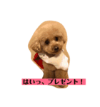 ぼく、福丸です。（個別スタンプ：8）