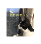まめ氏（個別スタンプ：3）