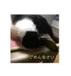 まめ氏（個別スタンプ：8）