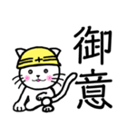 現場ねこ。（個別スタンプ：1）