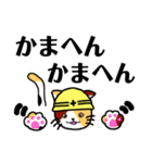 現場ねこ。（個別スタンプ：14）