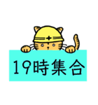 現場ねこ。（個別スタンプ：26）